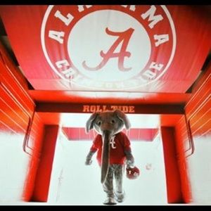 Meet your Posher, Robin